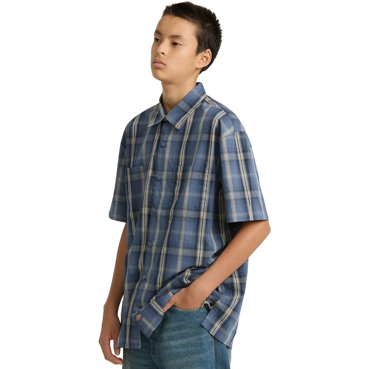 Dickies Men's Plaid Work Shirt Work Shirts Dickies