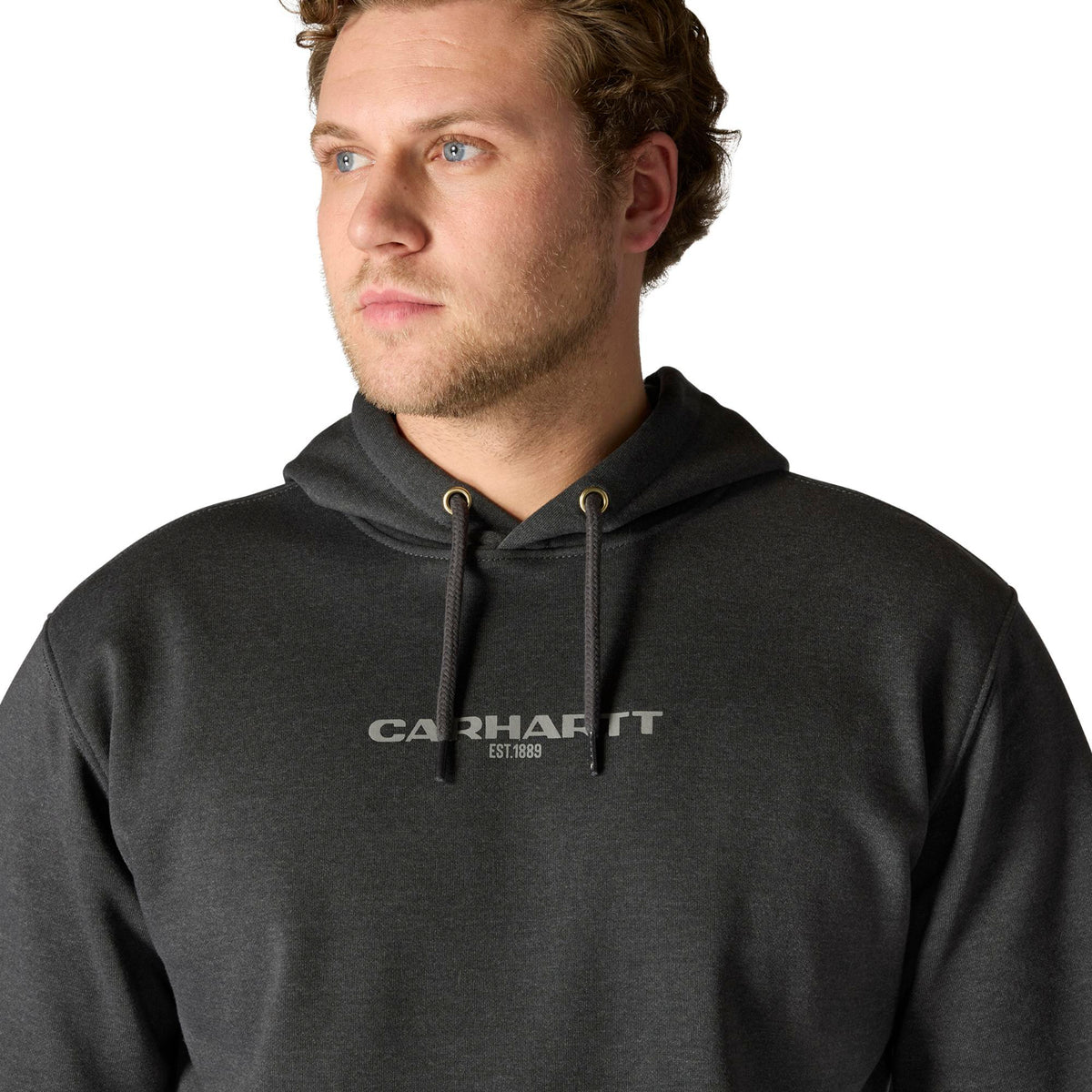 Carhartt Men's Rain Defender Loose Fit Midweight 1889 Graphic Sweatshirt - Work World - Workwear, Work Boots, Safety Gear