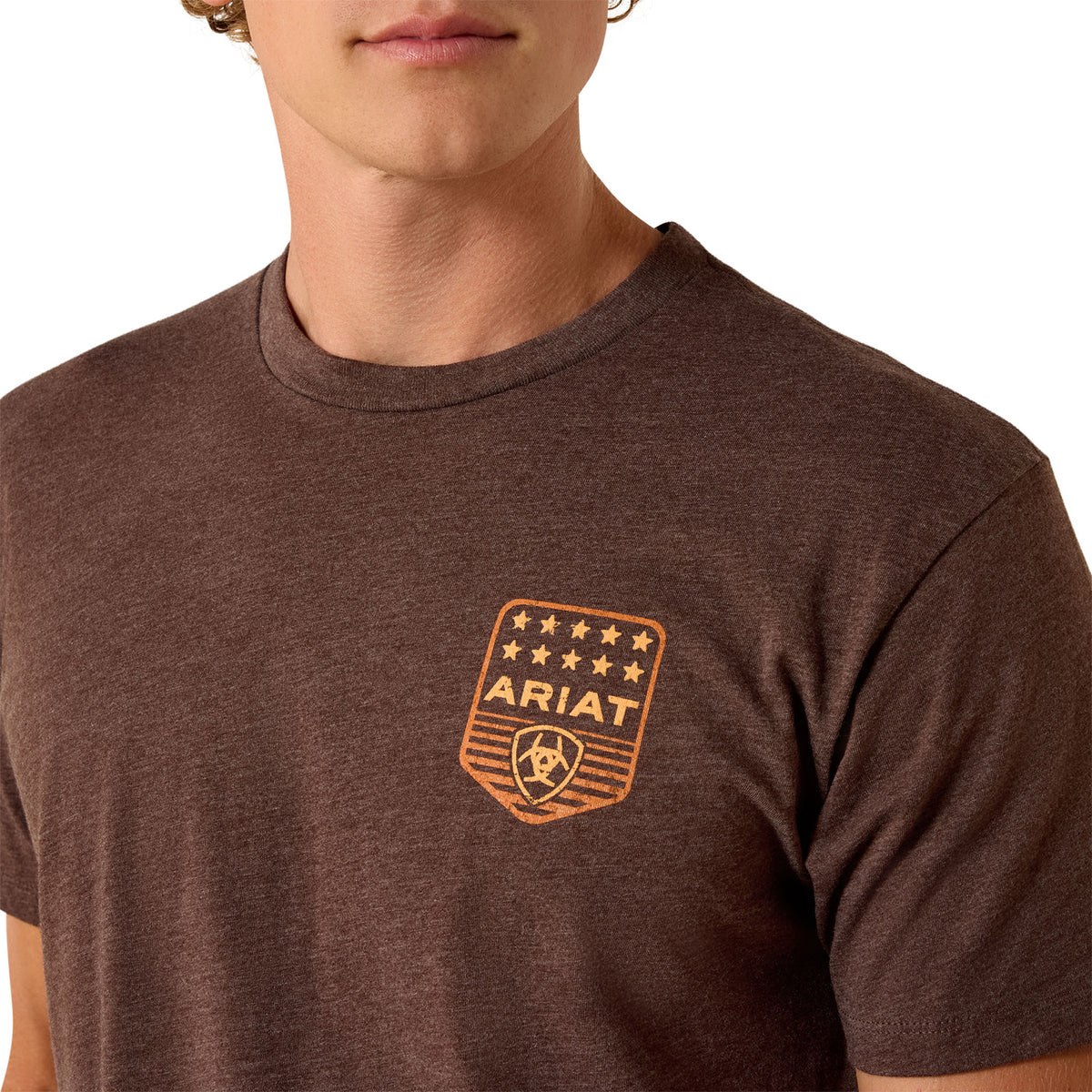 Ariat Men's Stripe Patriotic Badge T-Shirt T-Shirts Ariat