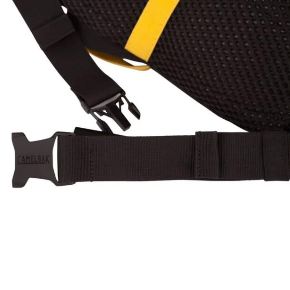 Camelbak Pro 21oz Zip Pocket Waist Pack + Water Bottle Backpacks & Purses CamelBak