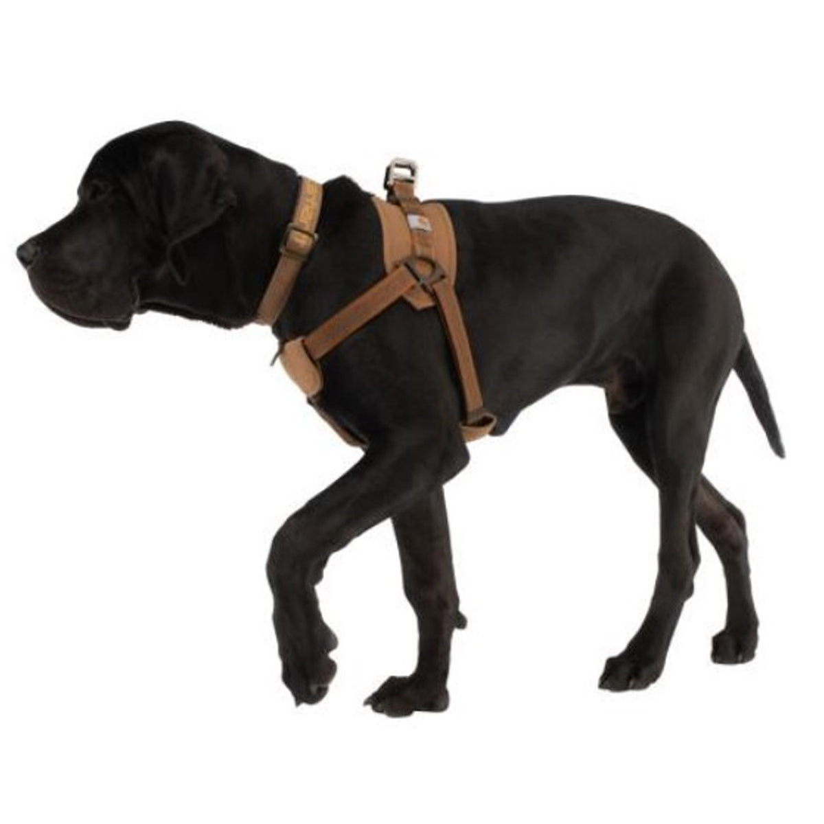 Carhartt Dog Training Harness - Work World - Workwear, Work Boots, Safety Gear